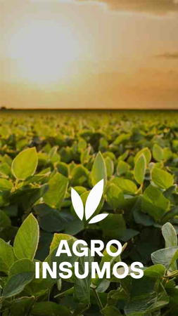 02_servicio_agroinsumos_b