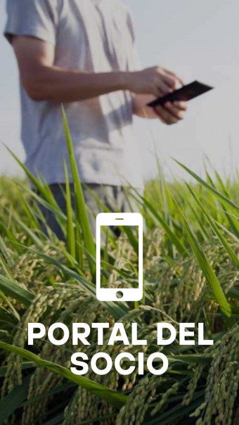 06_Servicio_portal_del_socio